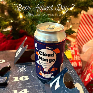 Winter's Evening Advent Calendar Kit